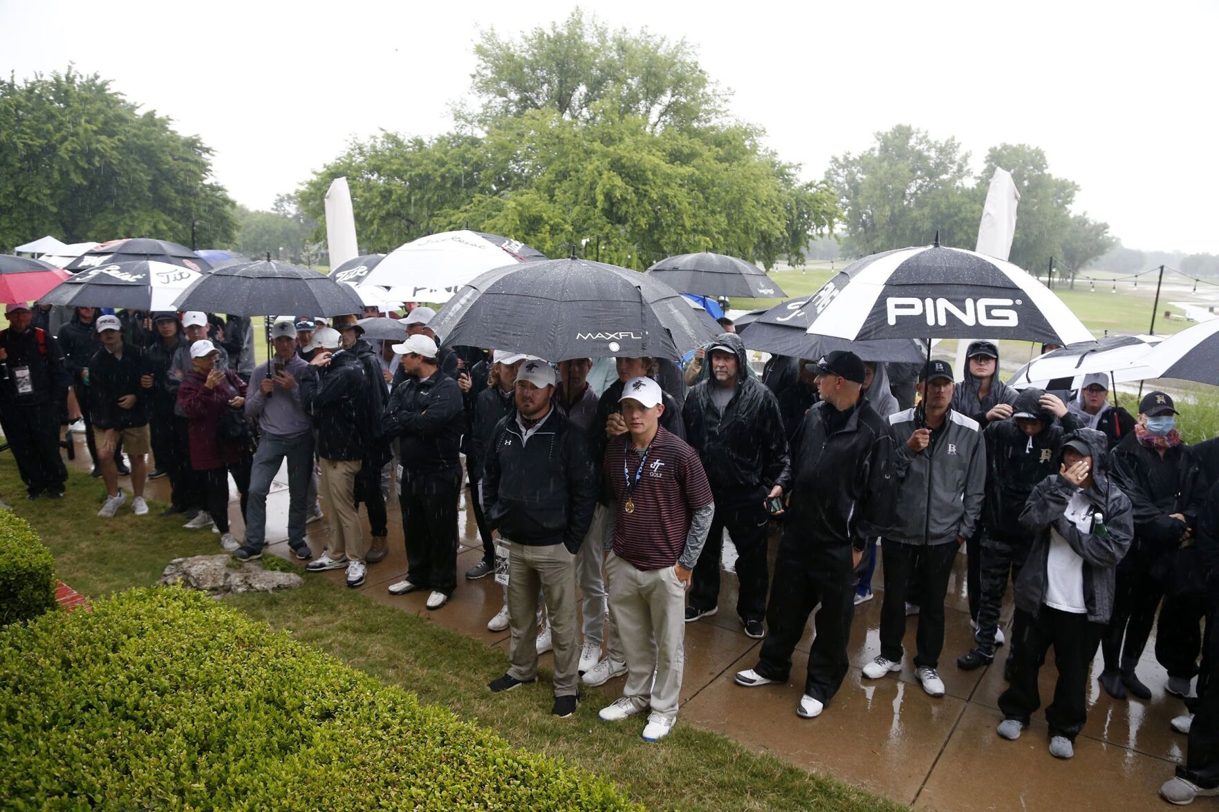 6A Golf